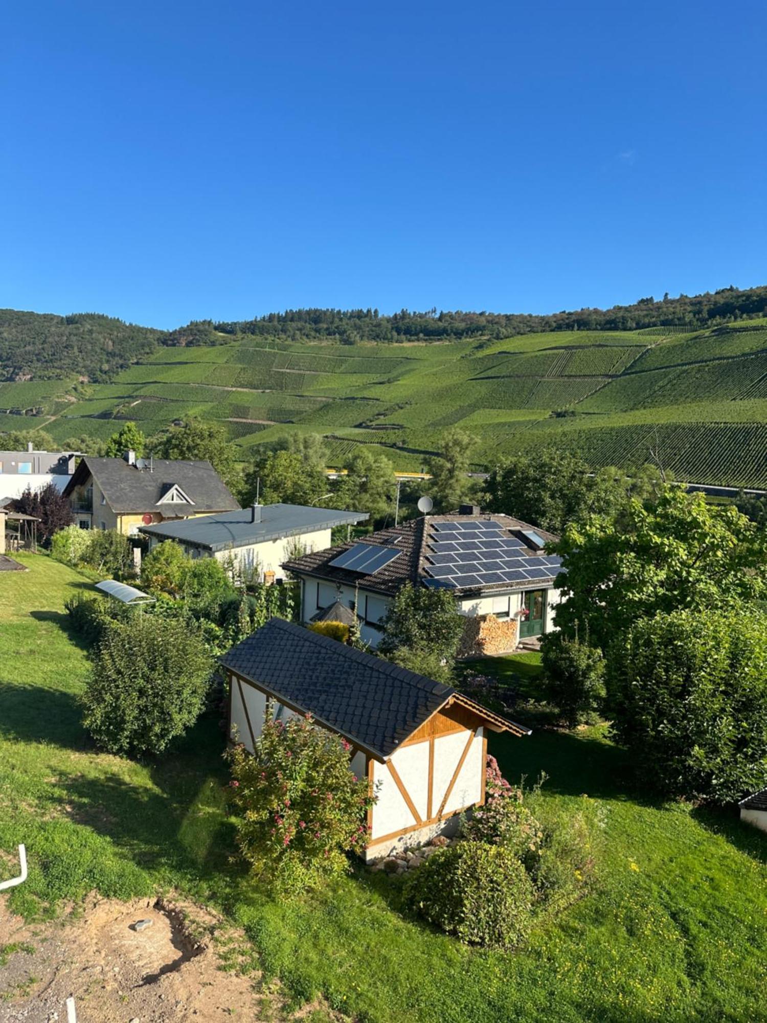 Moselappartements By Weingut Marco Adamy 鲁斯尼希 外观 照片