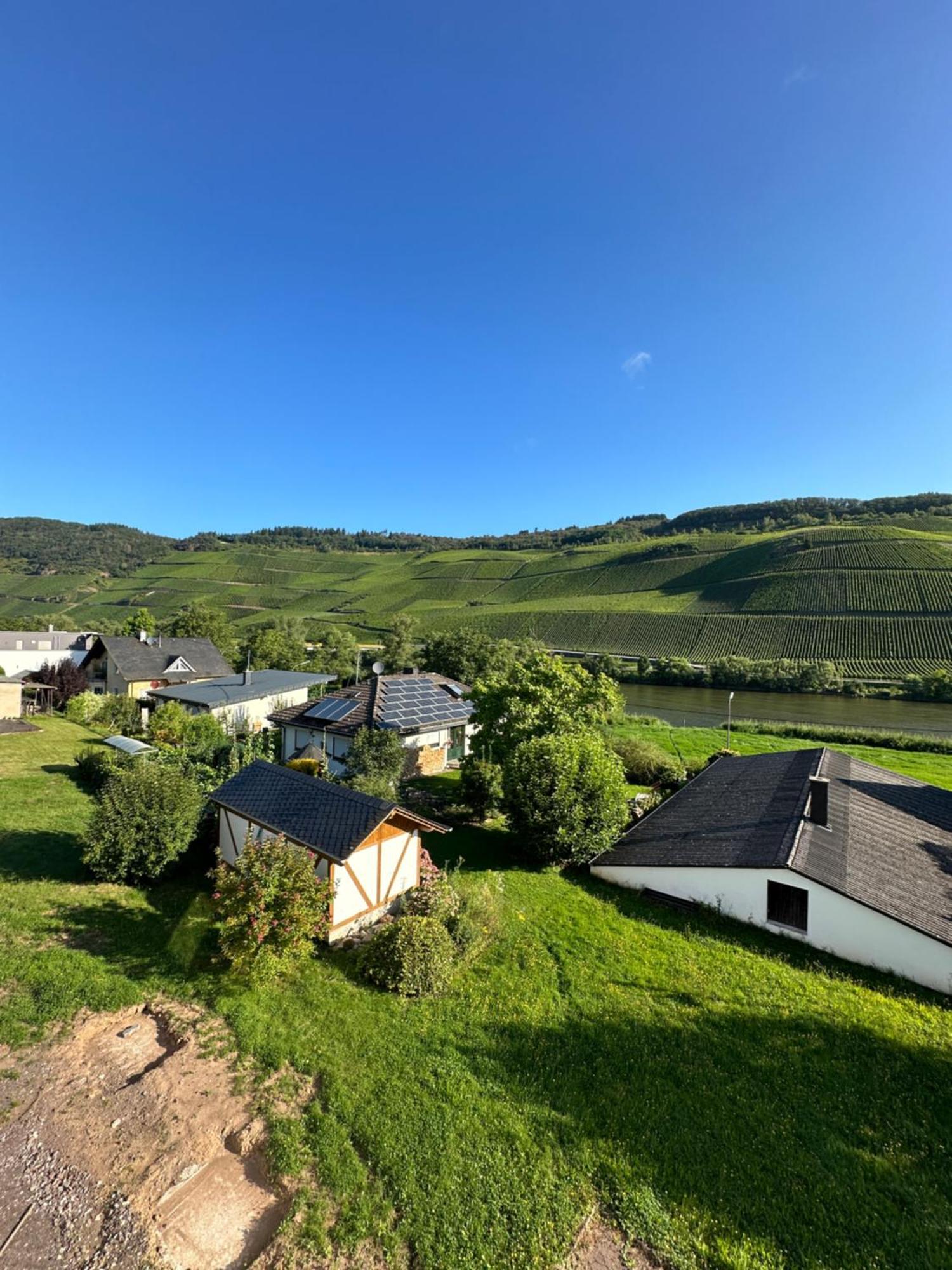 Moselappartements By Weingut Marco Adamy 鲁斯尼希 外观 照片