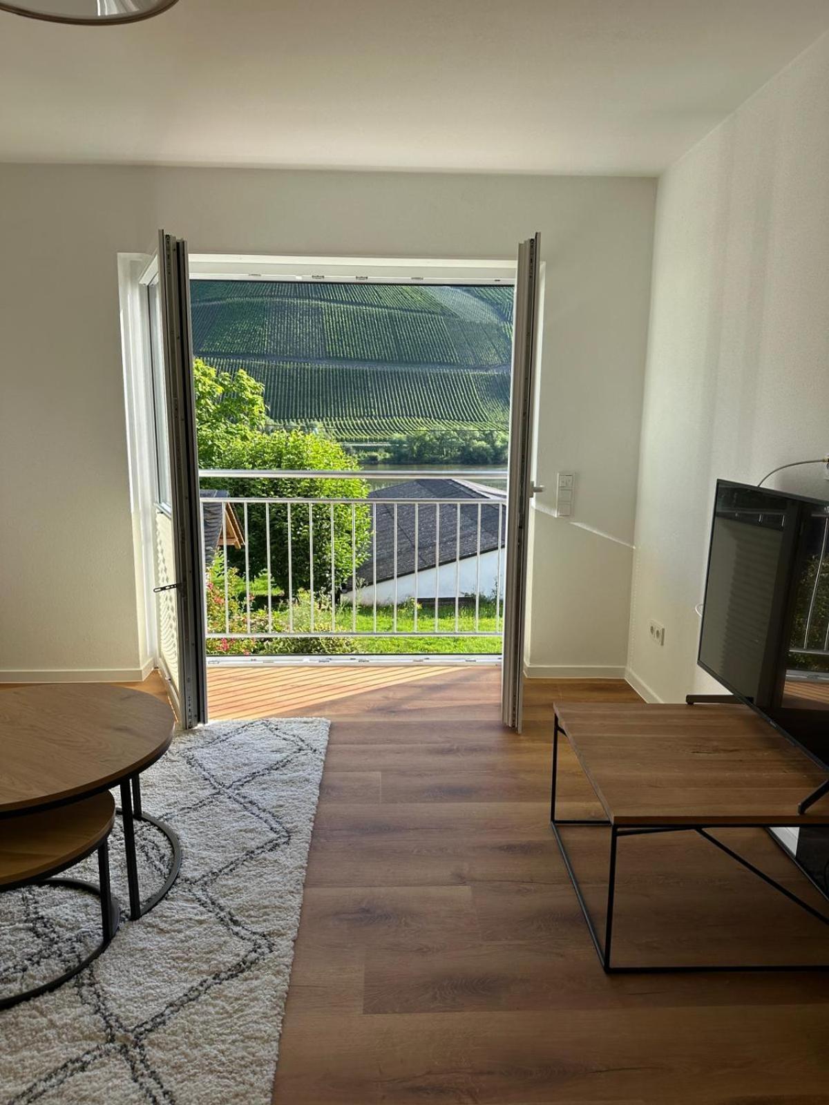 Moselappartements By Weingut Marco Adamy 鲁斯尼希 外观 照片