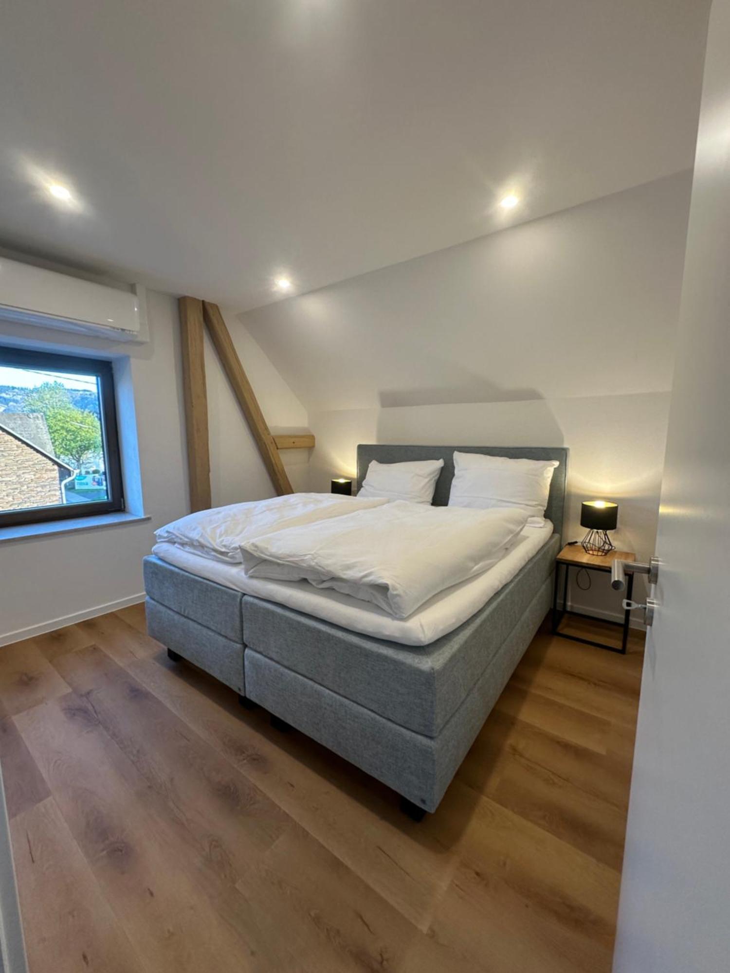 Moselappartements By Weingut Marco Adamy 鲁斯尼希 外观 照片