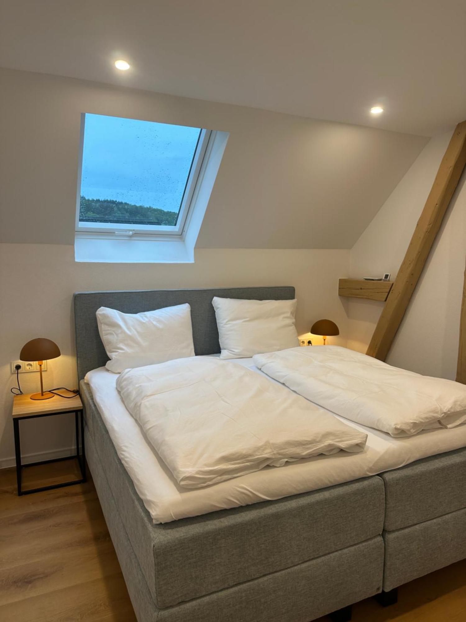 Moselappartements By Weingut Marco Adamy 鲁斯尼希 外观 照片