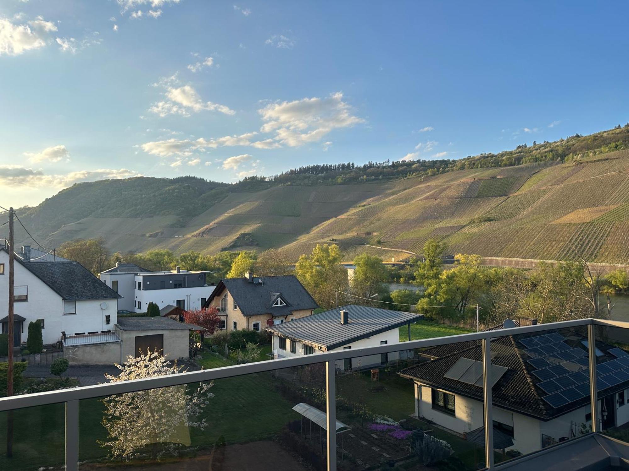Moselappartements By Weingut Marco Adamy 鲁斯尼希 外观 照片